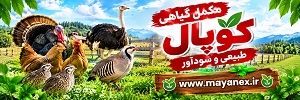 copal مایان هرب